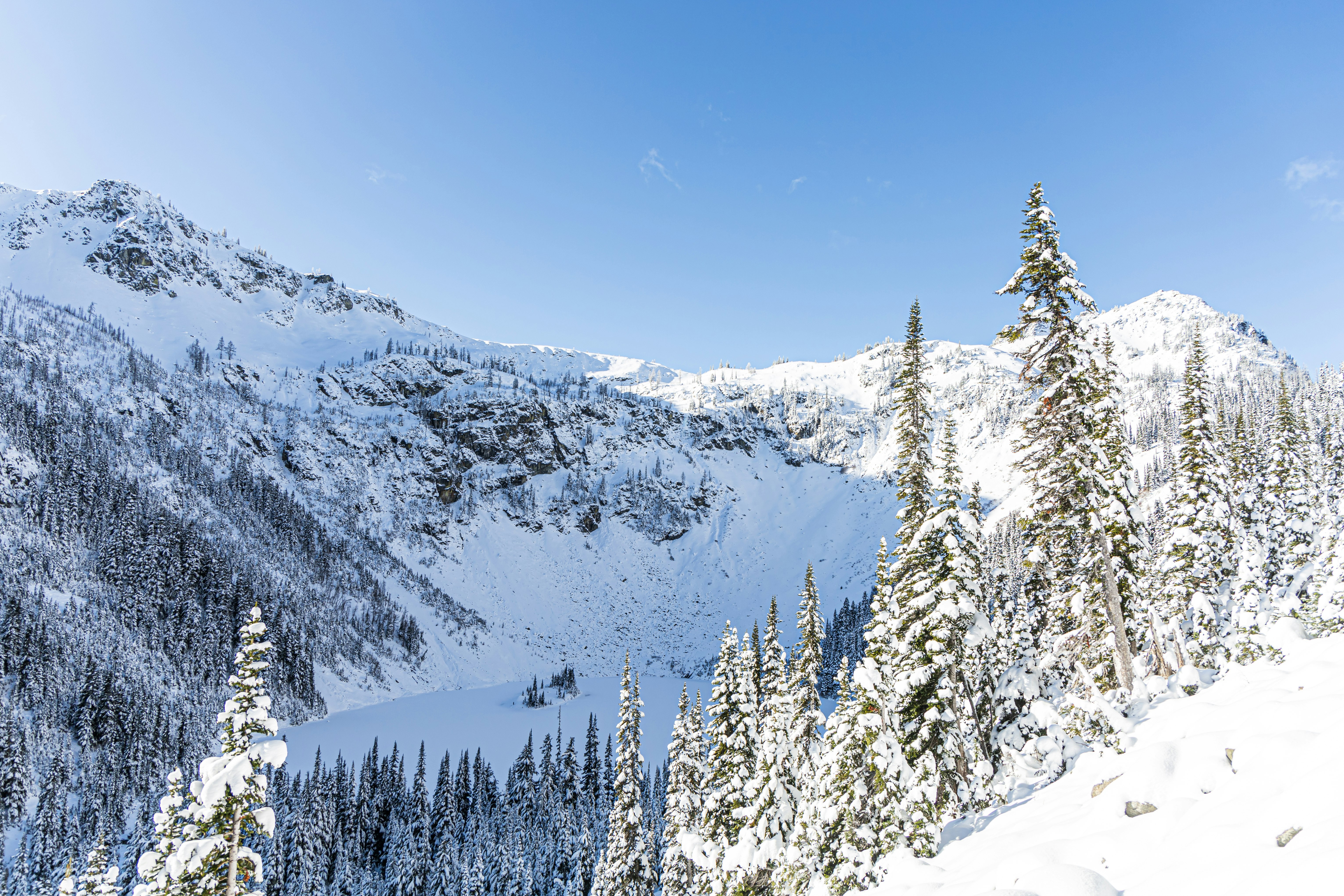 green pine trees on snow covered mountain during daytime